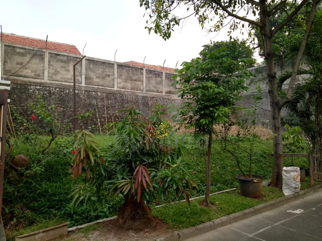 Rumah 215m² SHM di Bintaro Sektor 9, Halaman Hijau Asri