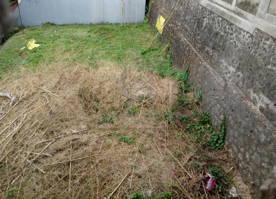 Rumah 215m² SHM di Bintaro Sektor 9, Halaman Hijau Asri — foto 3