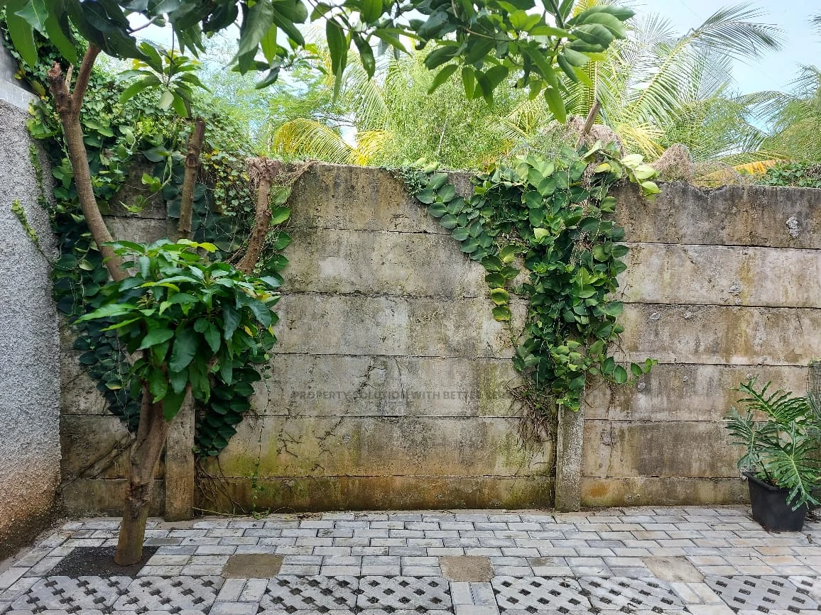 Rumah Dijual di Serpong Green Park 2, BSD City, 2KT — foto 6