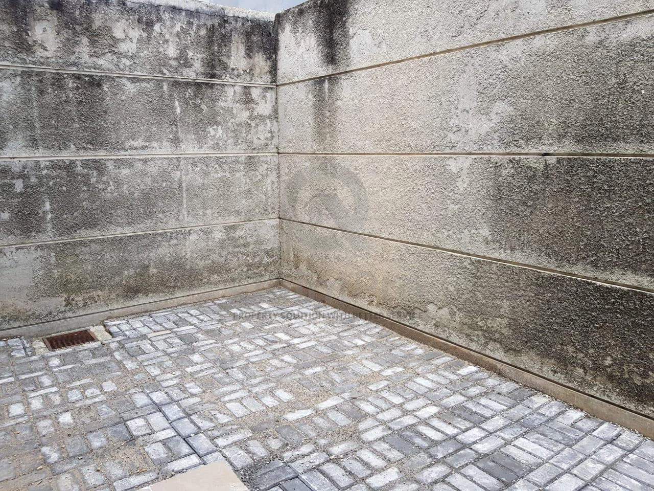 Rumah 2KT Modern di Foresta Albera BSD City, 2 Lantai Halaman Asri Disewa — foto 4