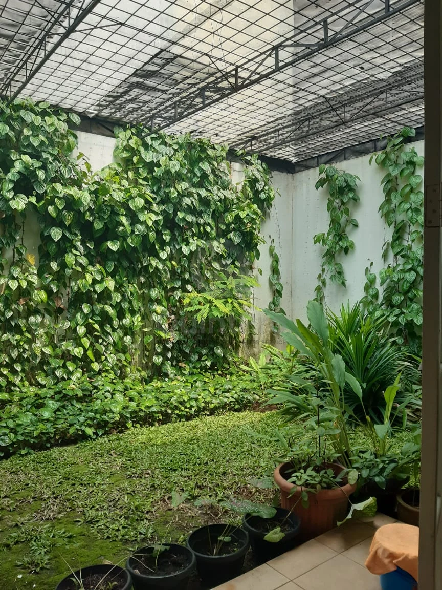 Rumah Klasik 3+1KT di Victoria River Park BSD, Halaman Asri Semi-Furnished — foto 4