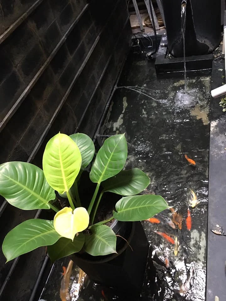 Rumah Dijual di Bintaro Senayan, Bintaro, 3KT — foto 7
