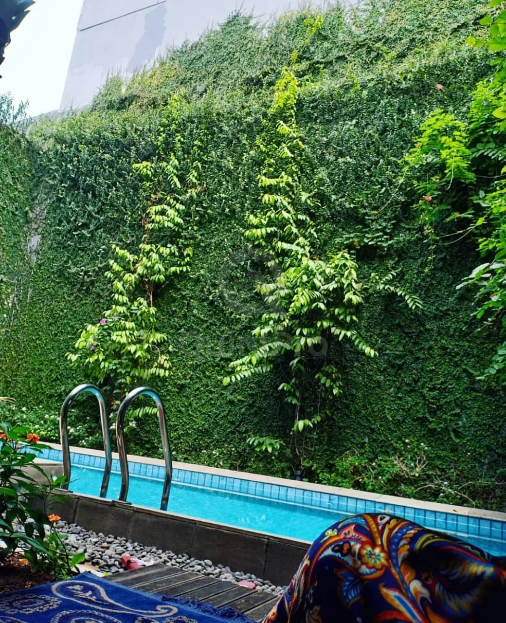 Rumah 5KT 250m² di The Park BSD City, Kolam Renang Halaman Asri PPJB — foto 2