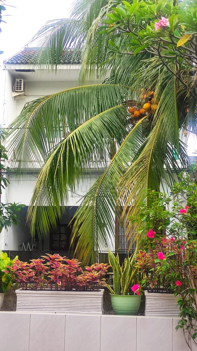 Rumah Dijual di Pamulang Timur, BSD, 3KT — foto 13