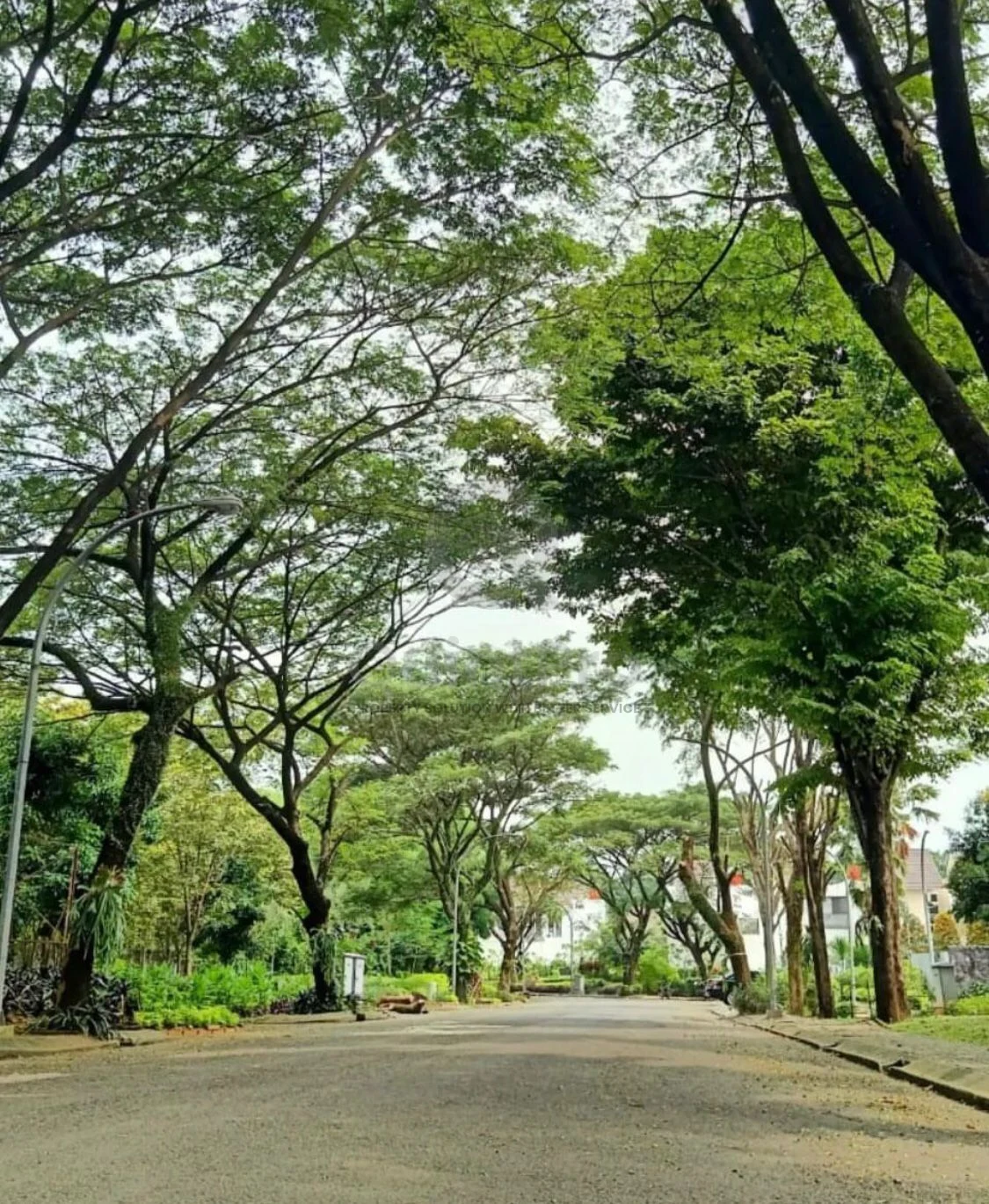 Rumah Dijual di Green Serpong Bintaro, Bintaro, 3KT — foto 9
