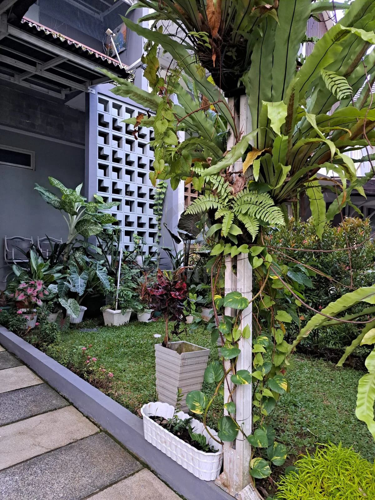 Rumah Dijual di The Avani, BSD, 3KT — foto 6