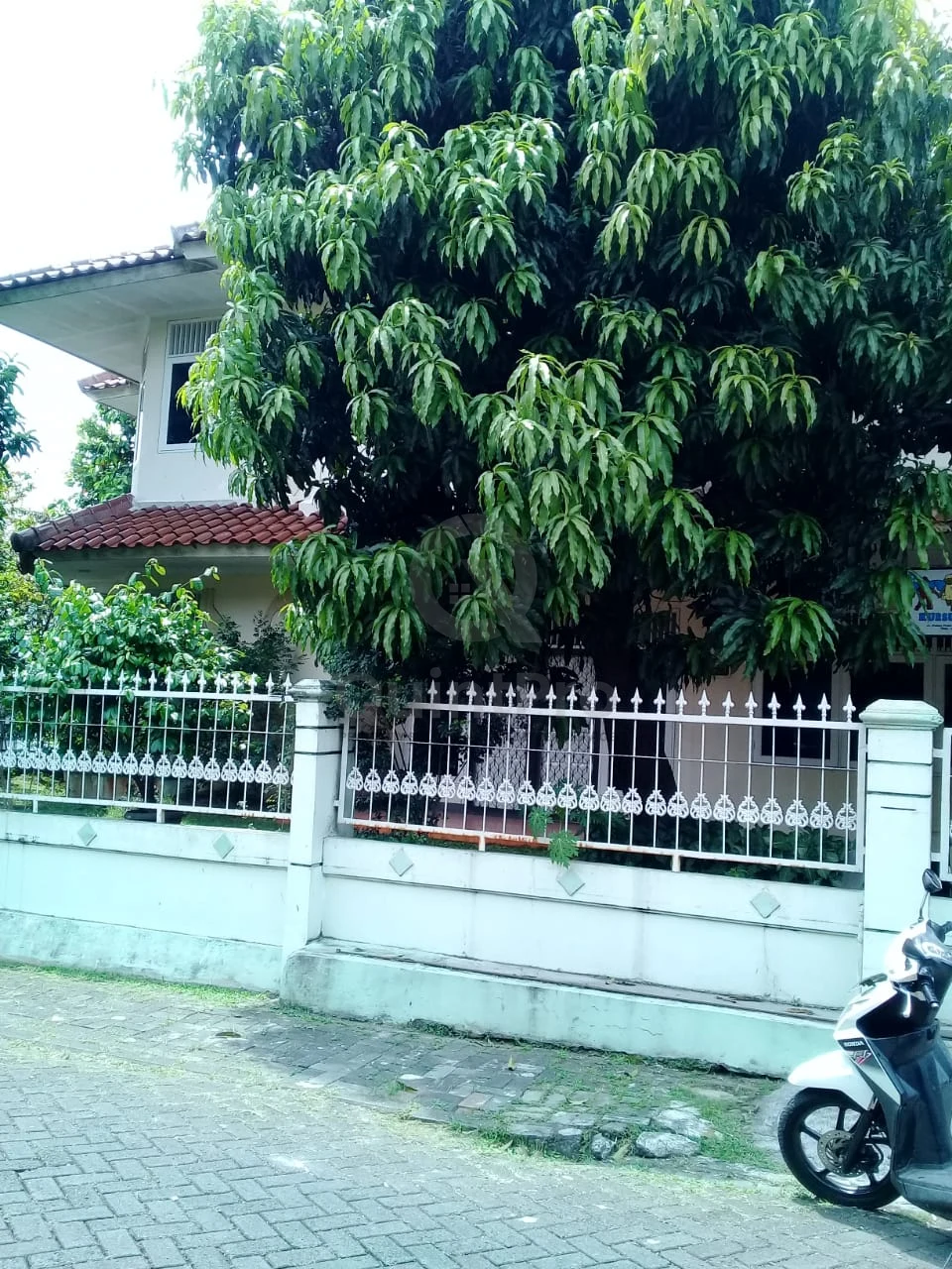 Rumah 6KT Disewa di Moderland BSD, 450m² Halaman Hijau Asri