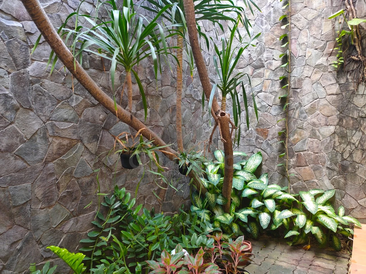 Rumah Dijual di Pondok Kelapa Duren Sawit, Jakarta Timur, 6KT — foto 8